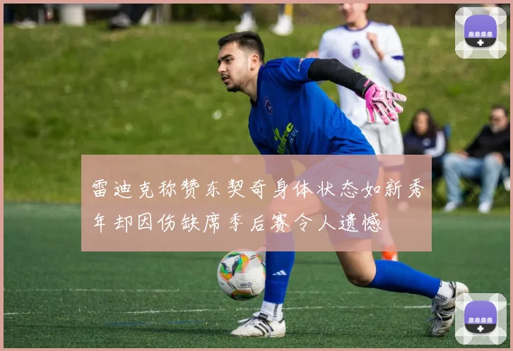 雷迪克称赞东契奇身体状态如新秀年却因伤缺席季后赛令人遗憾