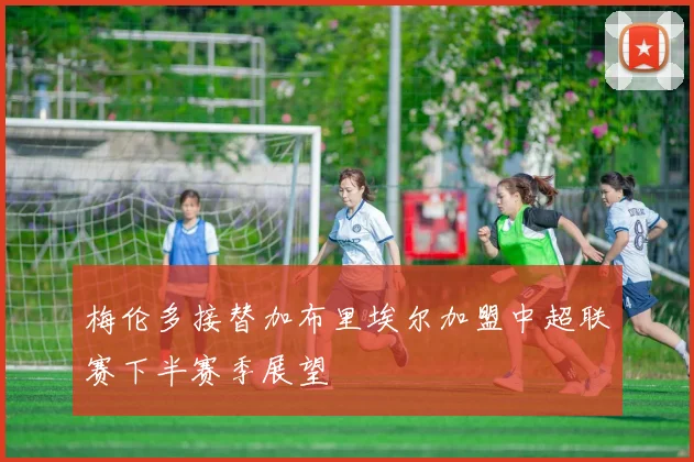 梅伦多接替加布里埃尔加盟中超联赛下半赛季展望